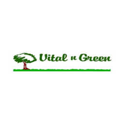 Vital N Green logo