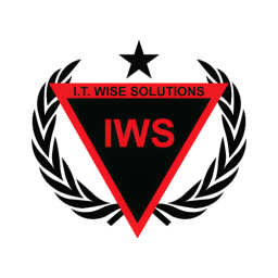 I.T. Wise Solutions logo