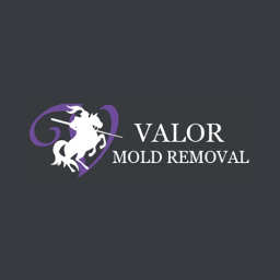 Valor Mold Removal logo
