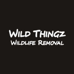 Wild Thingz logo