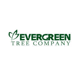 Evergreen Tree Company logo