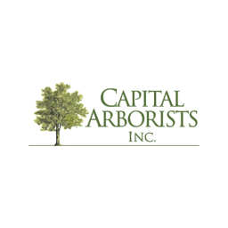 Capital Arborists Inc. logo