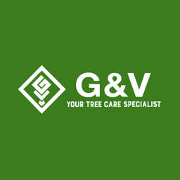 G & V logo