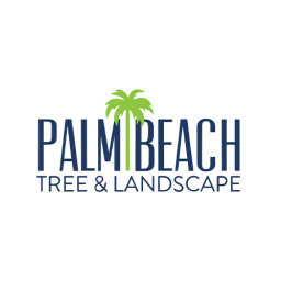 Palm Beach Tree & Landscape logo
