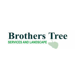 Brothers Tree logo