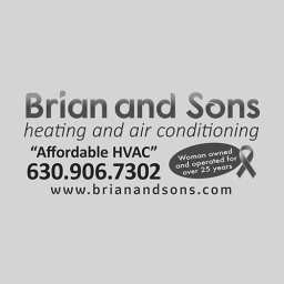 Brian and Sons logo