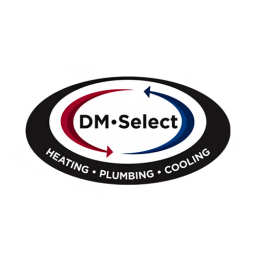 DM Select Services logo