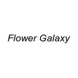 Flower Galaxy logo