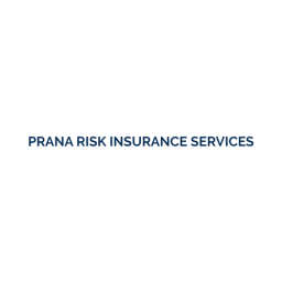 Prana Risk Insurance Services logo