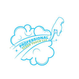 Professional Clean Touch LLC logo