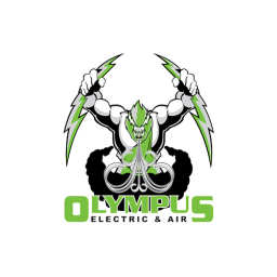 Olympus Electric & Air logo