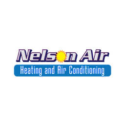 Nelson Air logo