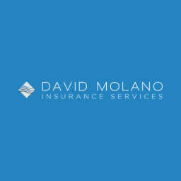 David Molano Insurance Services logo