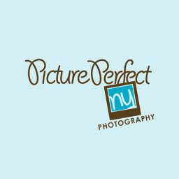 Picture Perfect NY logo