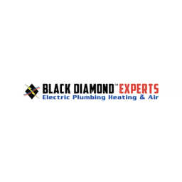 Black Diamond Experts logo