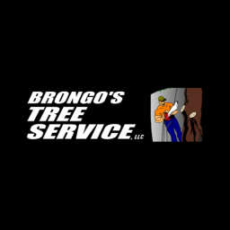 Brongo's Tree Service, LLC logo