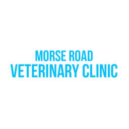 Morse Road Veterinary Clinic logo