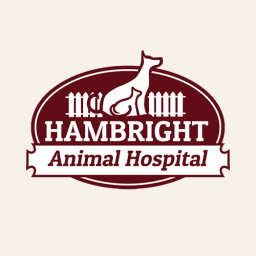 Hambright Animal Hospital logo
