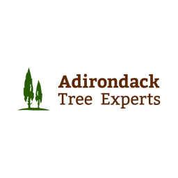 Adirondack Tree Experts logo