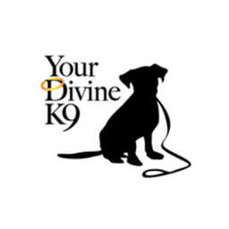 Your Divine K9 logo