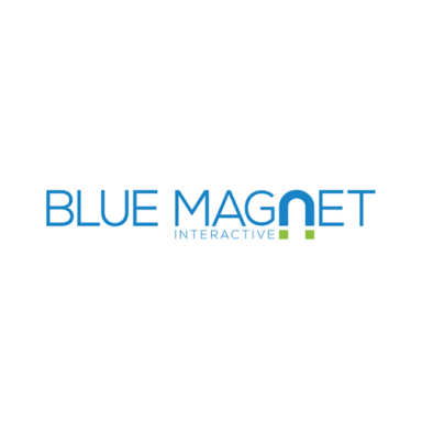 Blue Magnet Interactive logo
