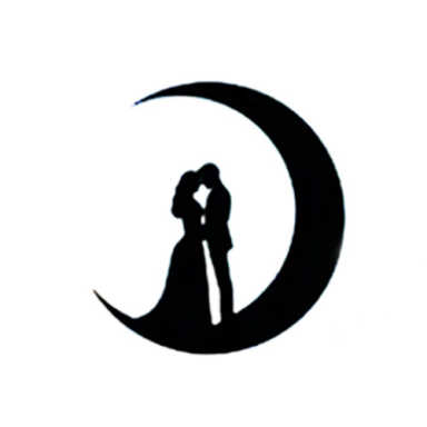 Dream Light Art Wedding Photography logo