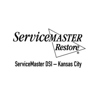 ServiceMaster DSI logo