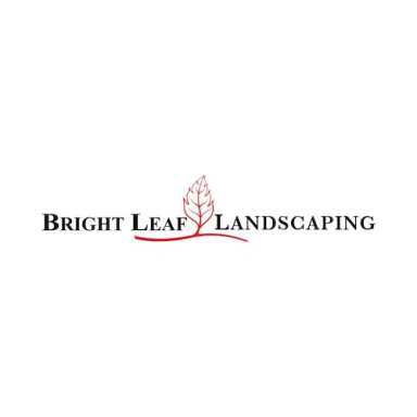 Bright Leaf Pictures LLC