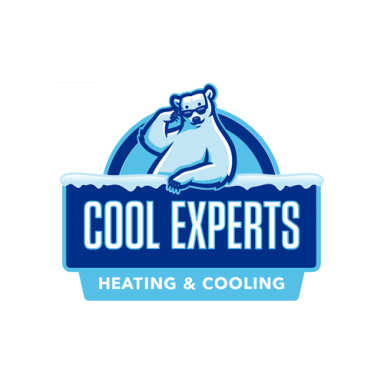 Cool Experts logo