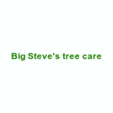 Big Steve's Tree Care logo