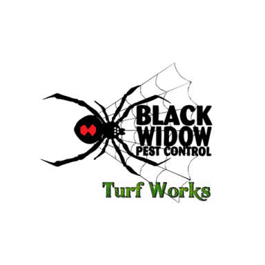 Black Widow Pest Control logo