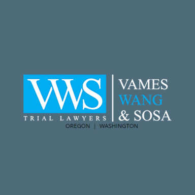 Vames Wang & Sosa Trial Lawyers logo