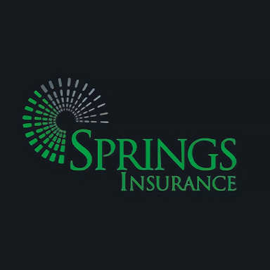 Springs Insurance - Fort Mill logo