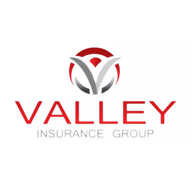 Valley Insurance Group logo