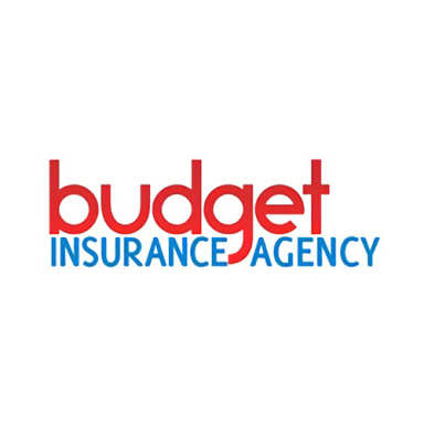 Budget Insurance Agency logo