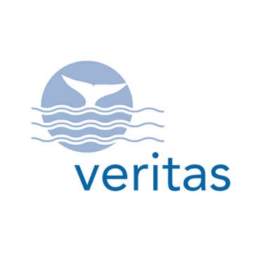 Veritas logo