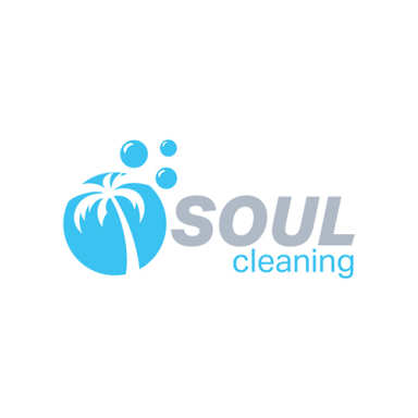 Soul Cleaning, LLC logo