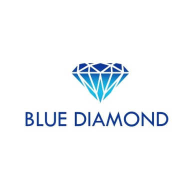 Blue Diamond Credit Repair LLC logo