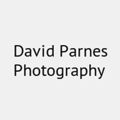 David Parnes Photography logo