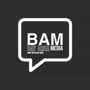 Bay Area Media logo