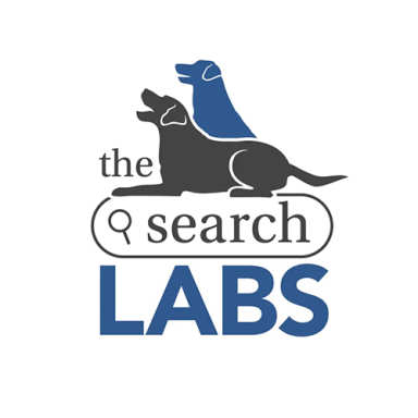 The Search Labs logo