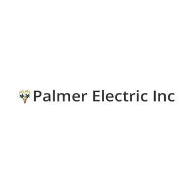 Palmer Electric Inc logo