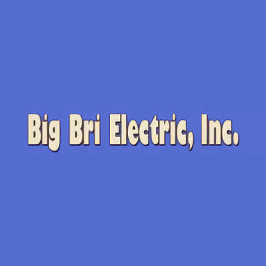 Big Bri Electric, Inc. logo