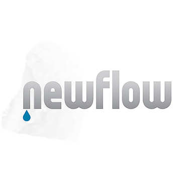 New Flow logo