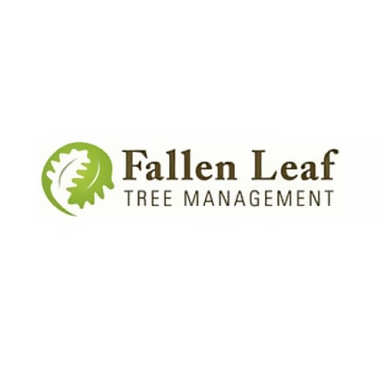 Fallen Leaf Tree Management logo