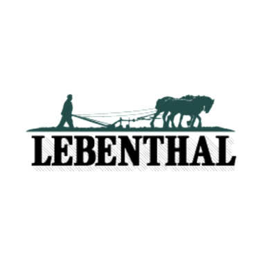 Lebenthal Financial Services, Inc. logo