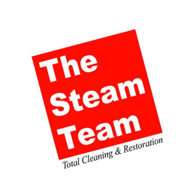 The Steam Team logo