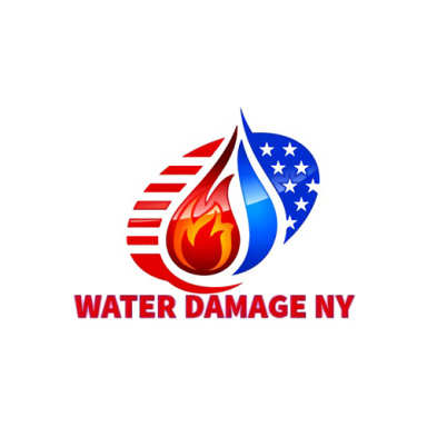 Water Damage NY logo