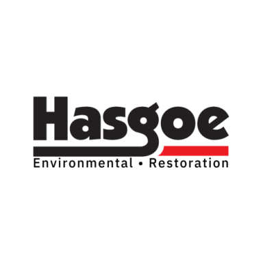 Hasgoe logo