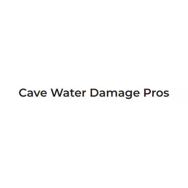 Cave Water Damage Pros logo